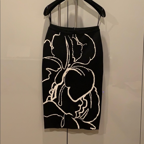 Alexander McQueen Pencil skirt